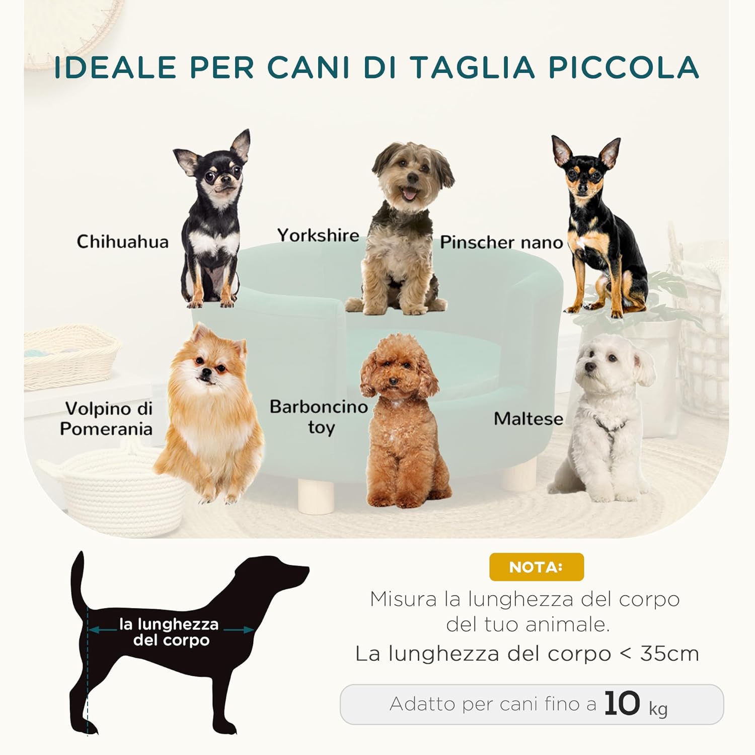 PawHut Divano per Cani Imbottito con Schienale e Cuscino Rimovibile – 65x64x37 cm, Verde