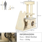 awHut Albero Tiragraffi per Gattini con Tappetino Sfoderabile – 60x30x83 cm, Beige