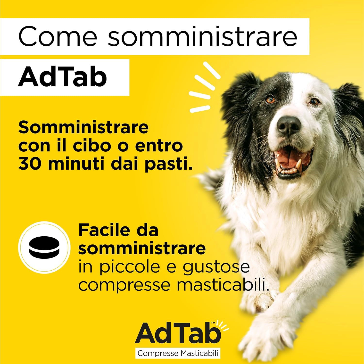 AdTab – Compresse masticabili per cani 11-22 kg (3 compresse da 450 mg)